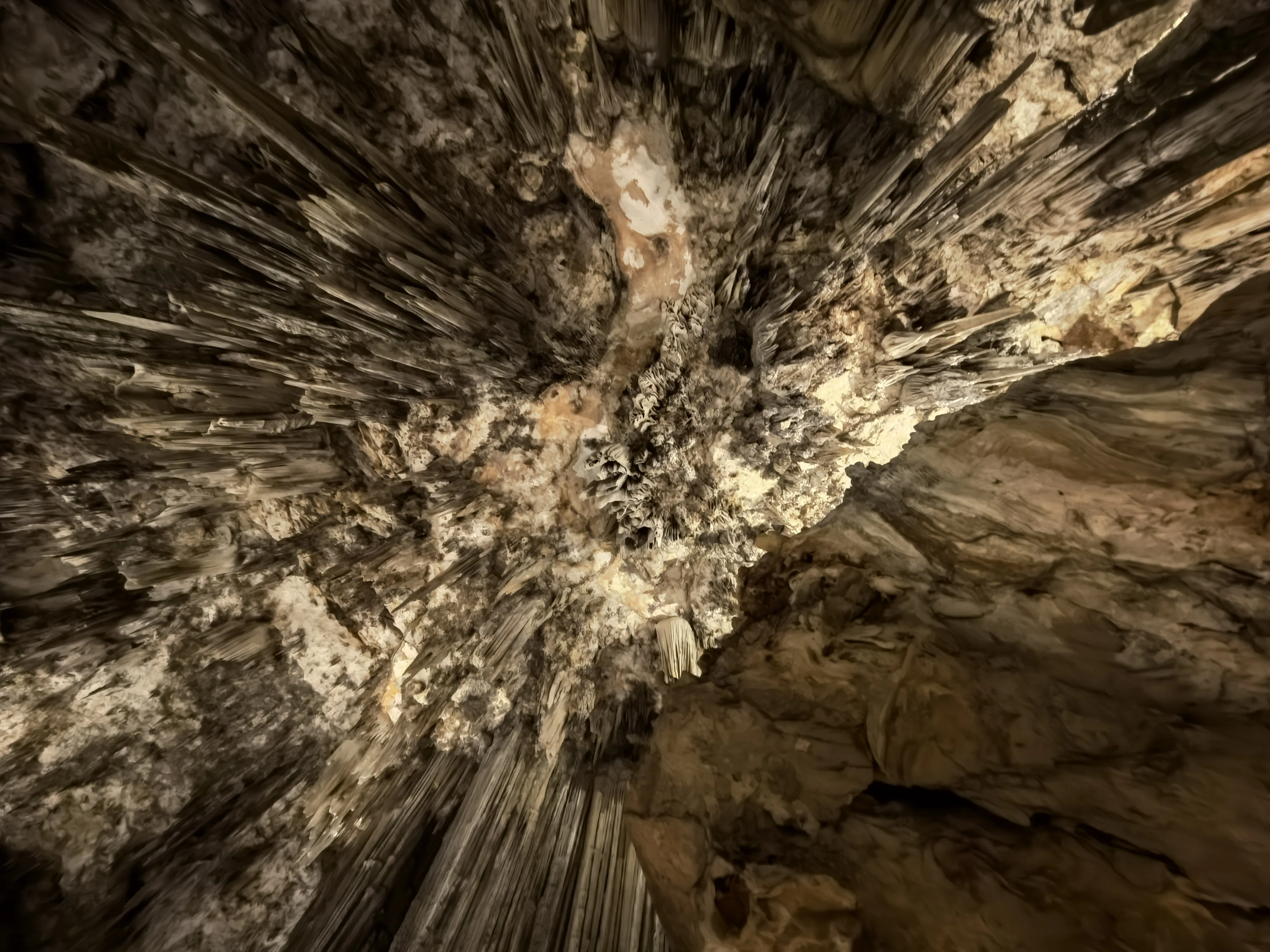 HUAWEI Pura 70 Ultra - System Aparatów - IMG_20251122_150810.webp